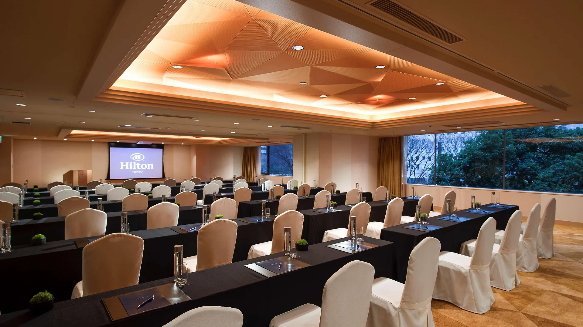 東京希爾頓酒店 5*, 东京